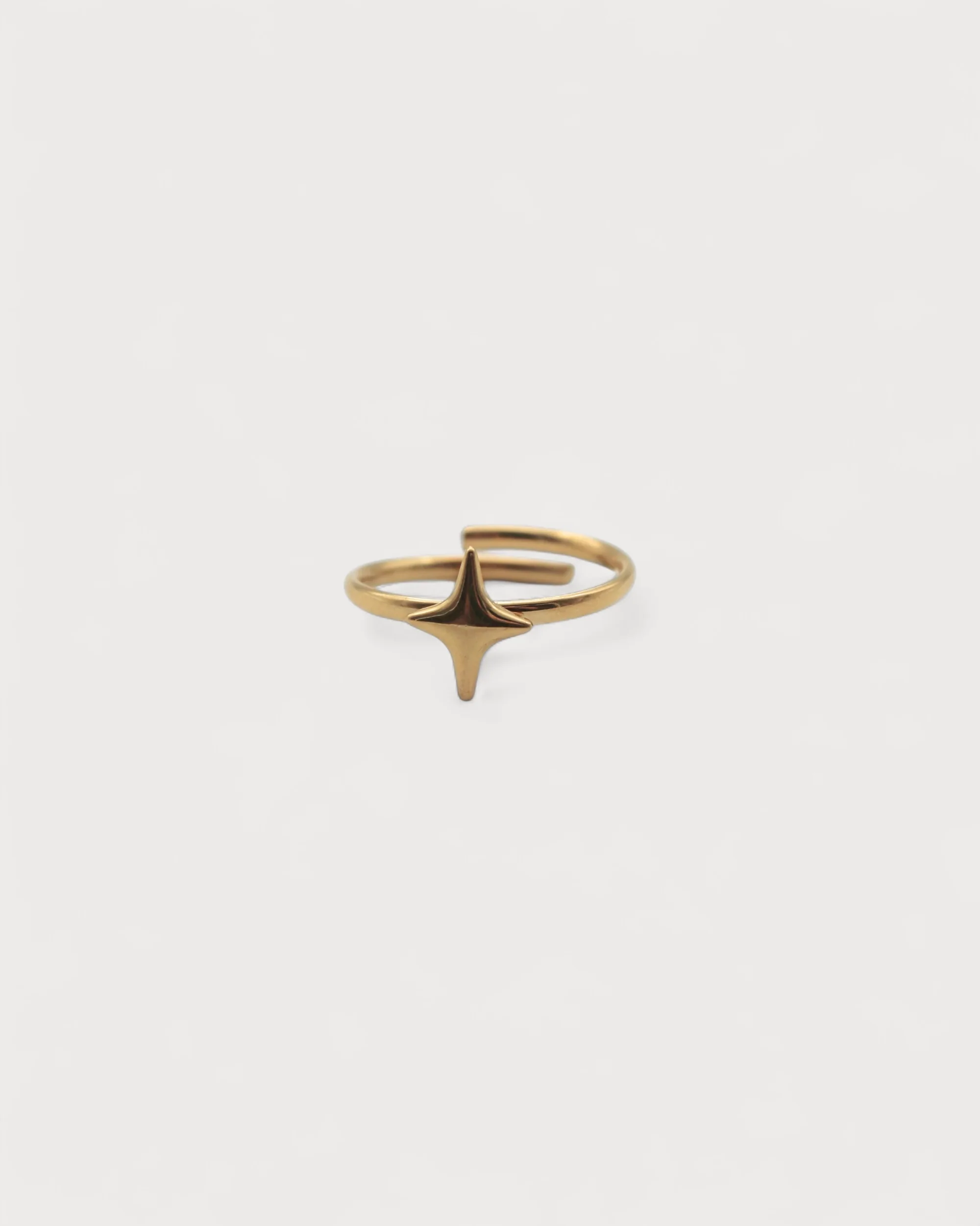 Starly - Bague - Acier inoxydable - Ajustable